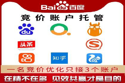 成功运用SEM服务实现品牌快速成长的案例